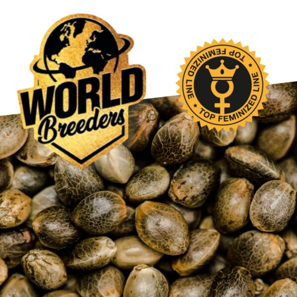 SEMILLAS WORLD BREEDER GRANEL