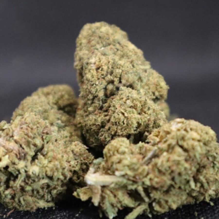 FLOR AROMÁTICA MANGO HAZE