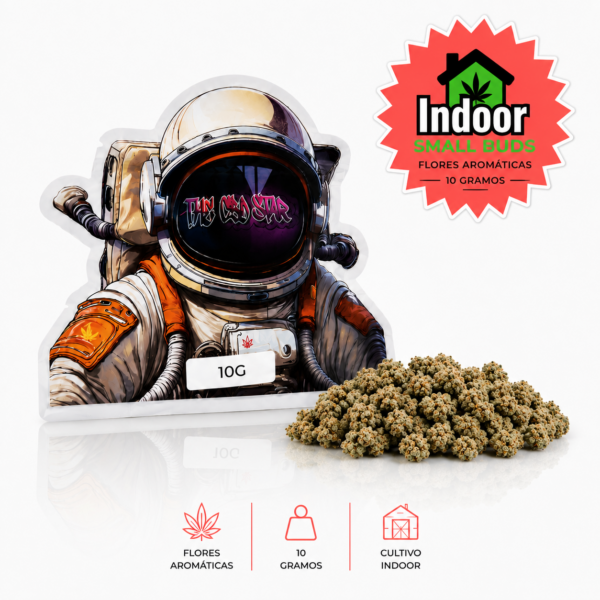 SMALL BUD INDOOR | ENVASE DE 10G 🌱🚀