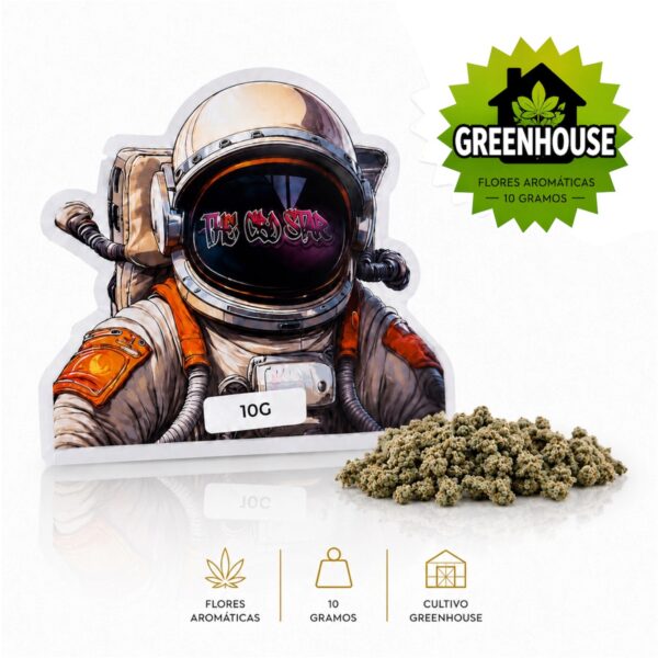 SMALL BUD INVERNADERO | ENVASE 10G 🌱✅
