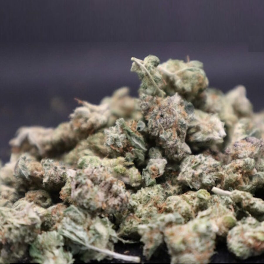SMALL BUD INDOOR ENVASE DE 10G