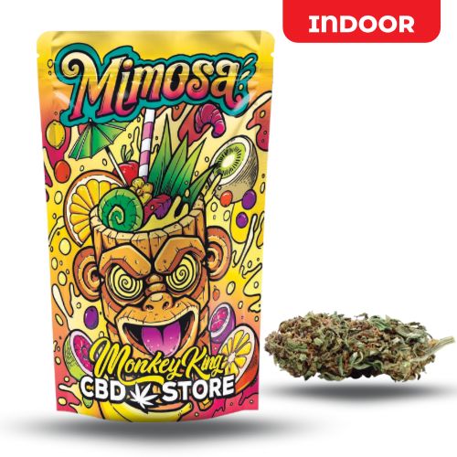 FLOR AROMATICA MIMOSA DE MONKEY KING