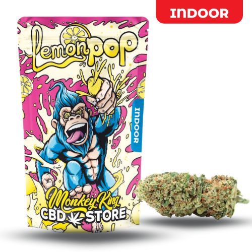 FLOR AROMATICA LEMON POP DE MONEY KING