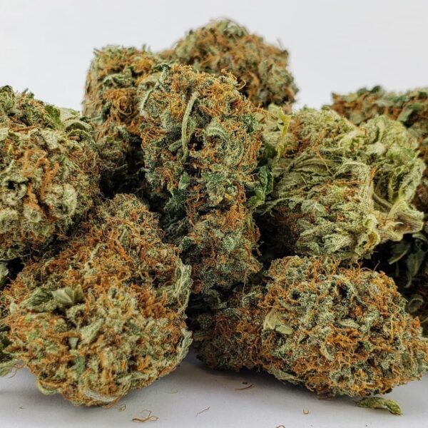 SMALL BUDS INVERNADEWRO ENVASE 10G GENESIS