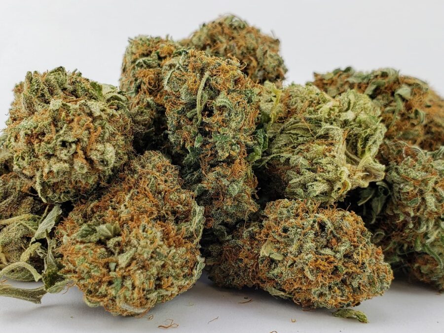 SMALL BUDS INVERNADEWRO ENVASE 10G GENESIS