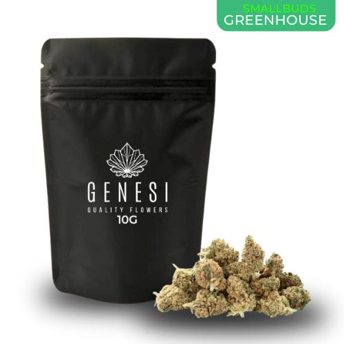 SMALL BUD INVERNADERO ENVASE 10G GENESIS