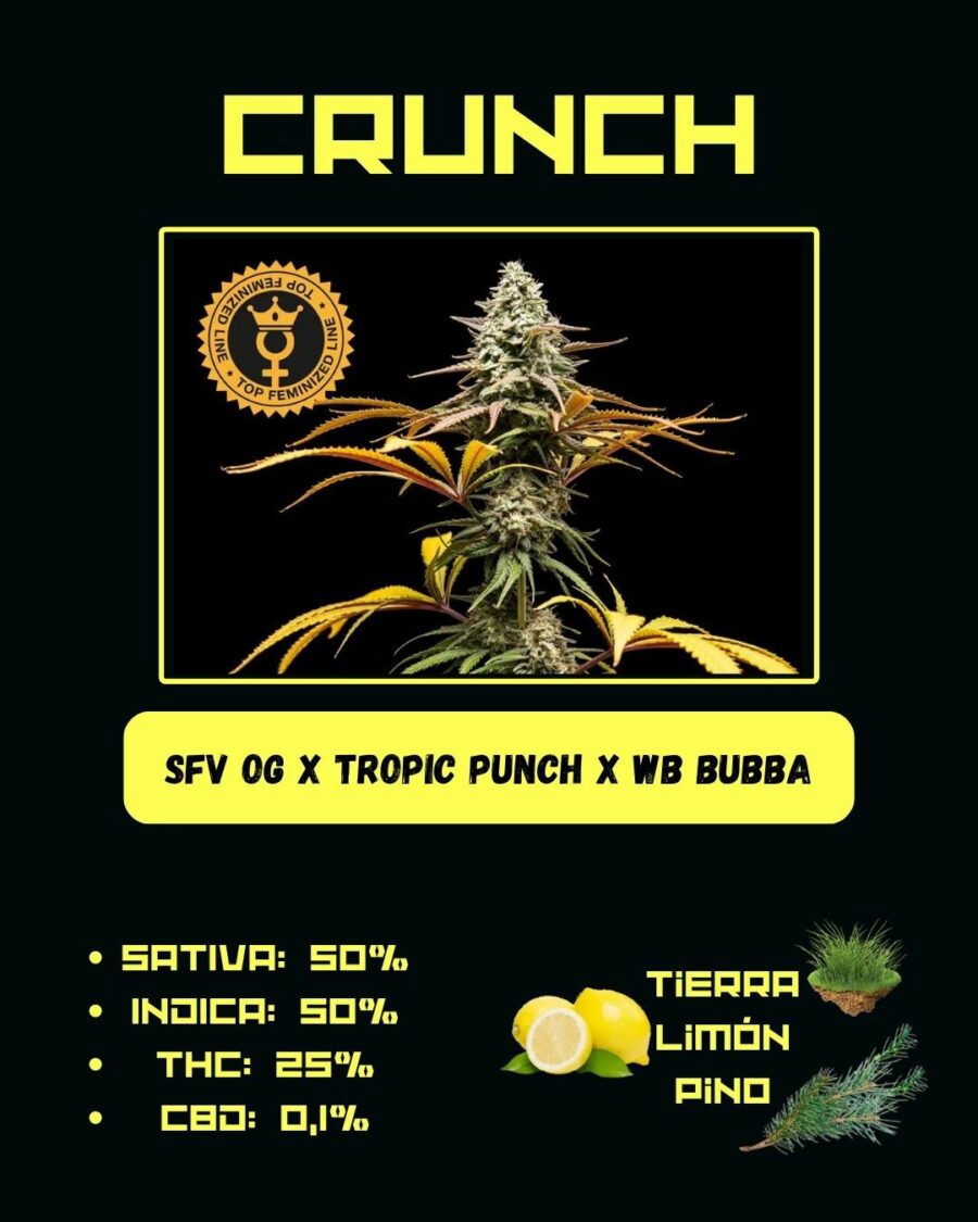 WORLD BREEDERS BUBBA LINE CRUNCH