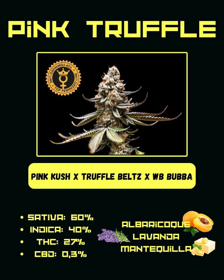 WORLD BREEDERS BUBBA LINE PINK TRUFFLE