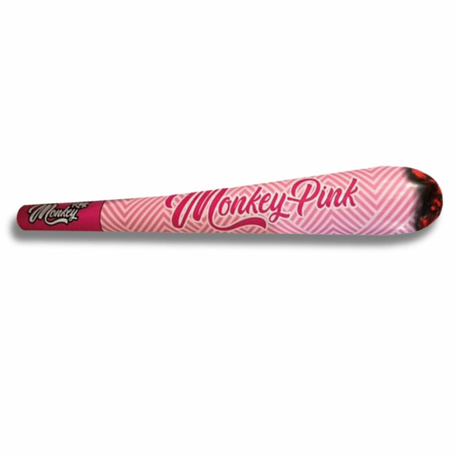 MONKEY INFLABLE CONO XL ROSA